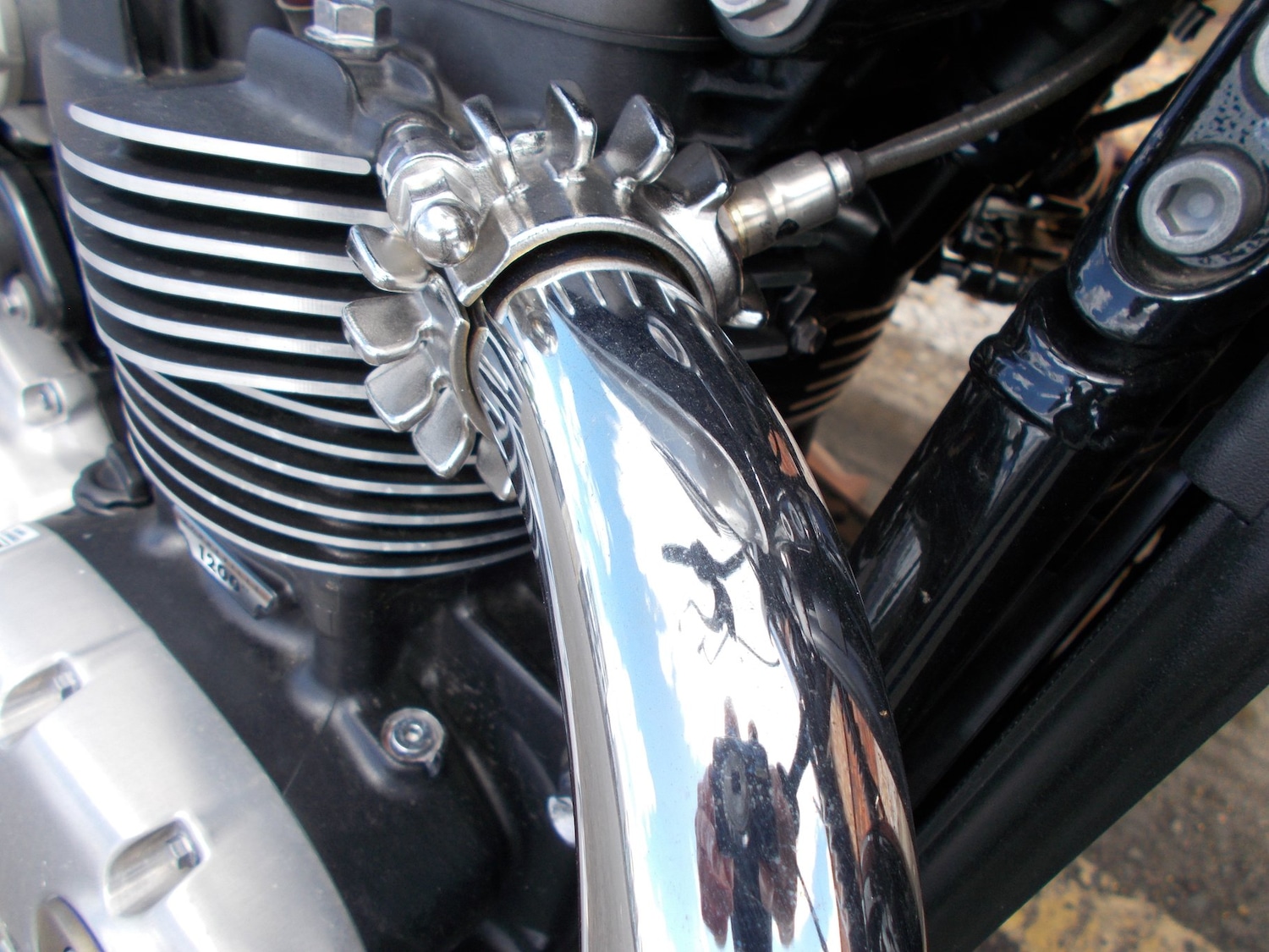 Used Triumph BONNEVILLE SPEEDMASTER 2024 for sale - 78909447: Photo 11