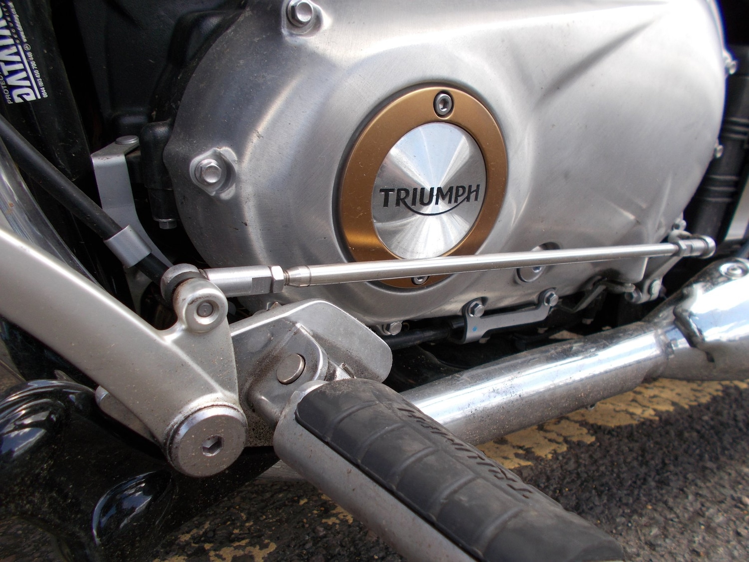 Used Triumph BONNEVILLE SPEEDMASTER 2024 for sale - 78909447: Photo 13