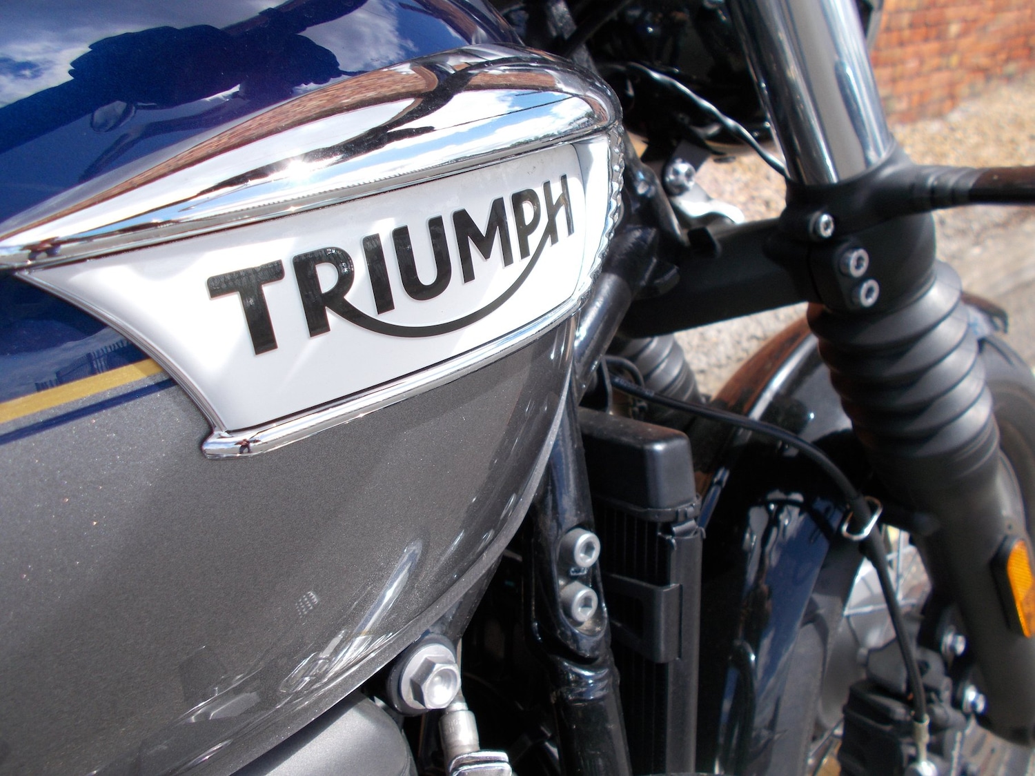 Used Triumph BONNEVILLE SPEEDMASTER 2024 for sale - 78909447: Photo 14