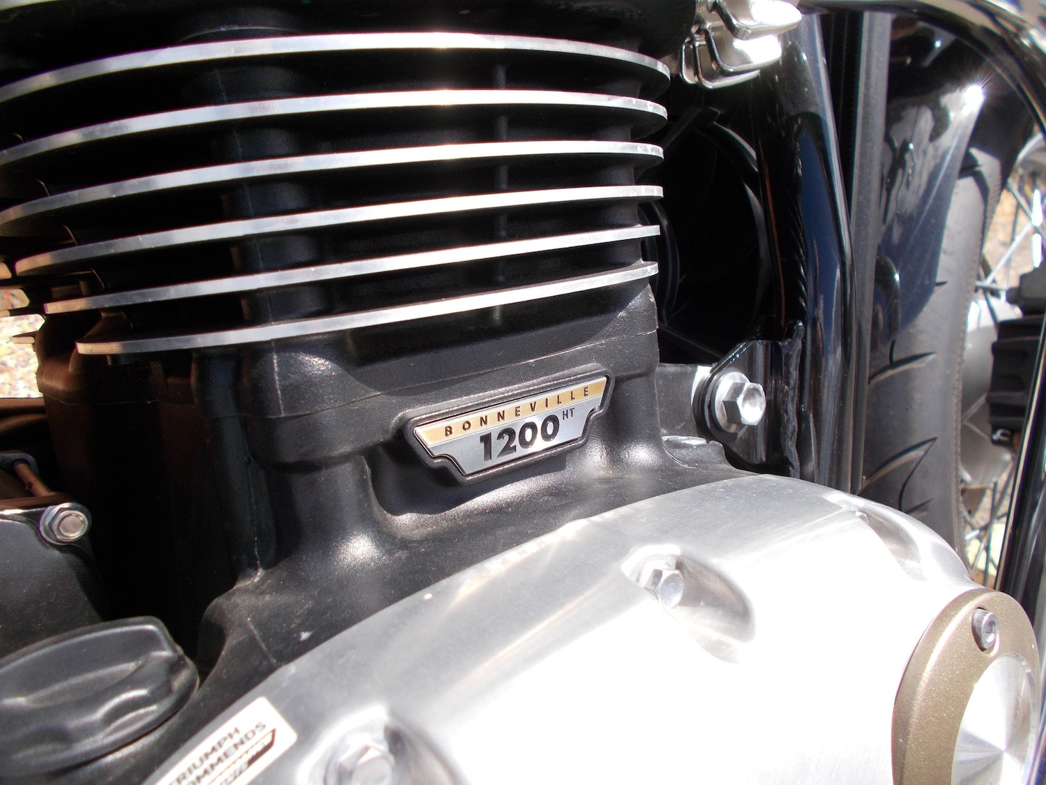 Used Triumph BONNEVILLE SPEEDMASTER 2024 for sale - 78909447: Photo 15