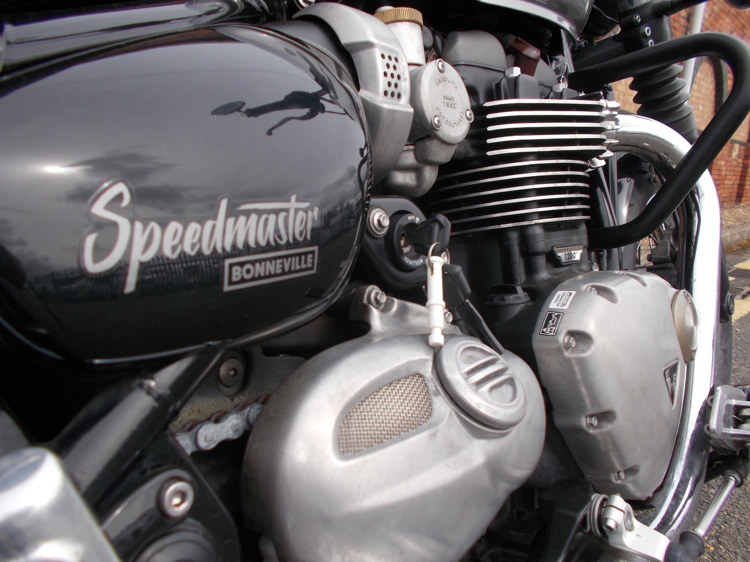 Used Triumph BONNEVILLE SPEEDMASTER 2024 for sale - 77610447: Photo 11