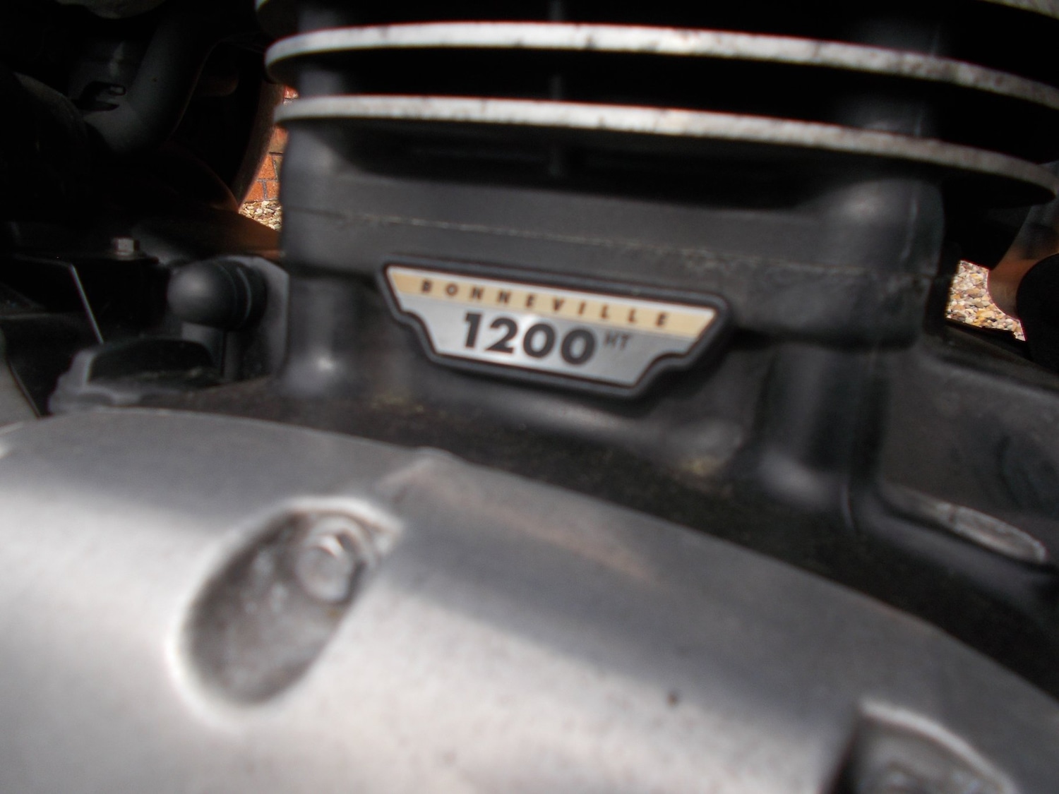 Used Triumph BONNEVILLE SPEEDMASTER 2024 for sale - 77610447: Photo 13