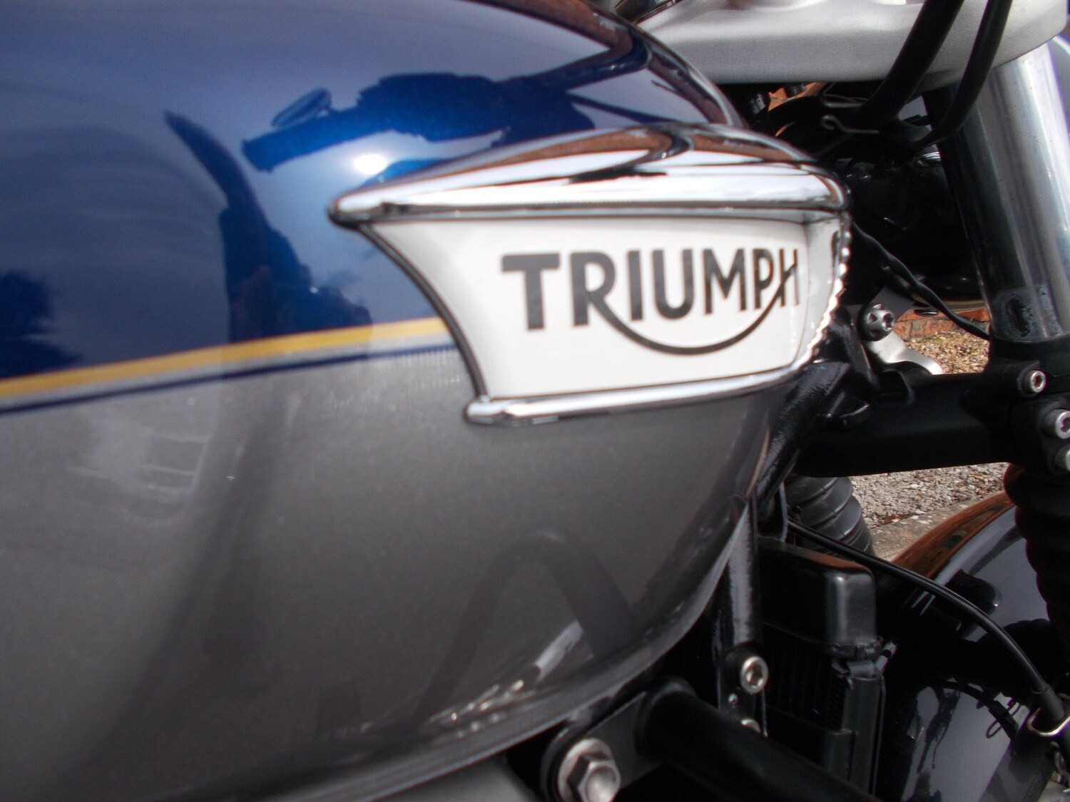 Used Triumph BONNEVILLE SPEEDMASTER 2024 for sale - 77610447: Photo 17