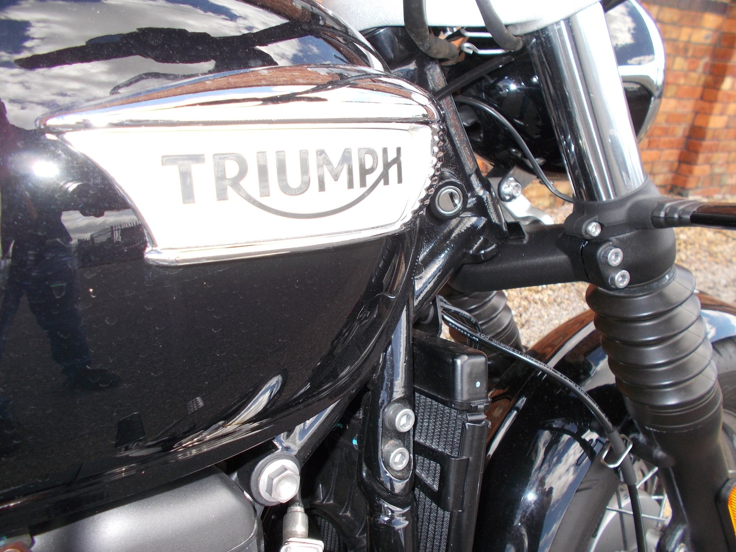 Used Triumph BONNEVILLE SPEEDMASTER 2023 for sale - 78909448: Photo 14