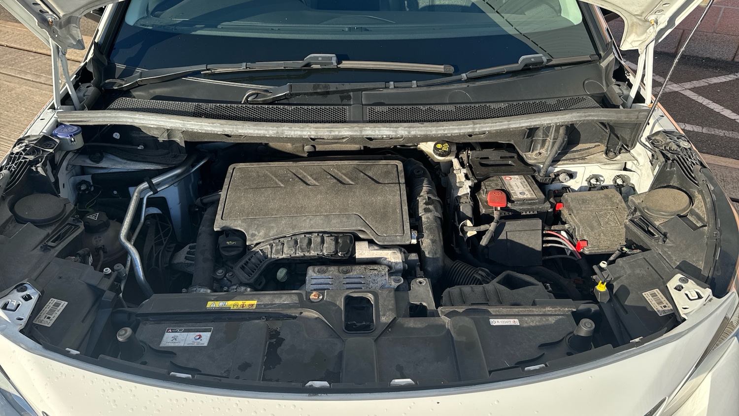 Used Peugeot 3008 2019 for sale - 77060530: Photo 19