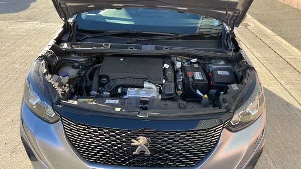 Used Peugeot 2008 2022 for sale - 76180053: Photo 18