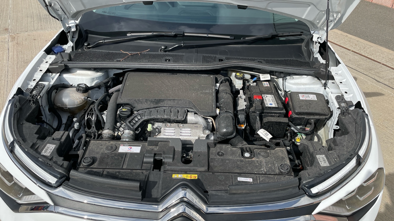 Used Citroen C4 2024 for sale - 76359055: Photo 18