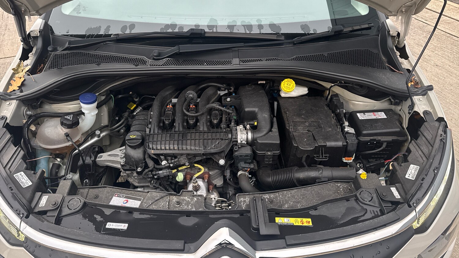 Used Citroen C3 2023 for sale - 76998807: Photo 18