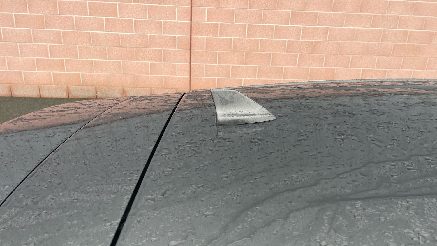 Used Ford Focus 2023 for sale - 77092080: Photo 49