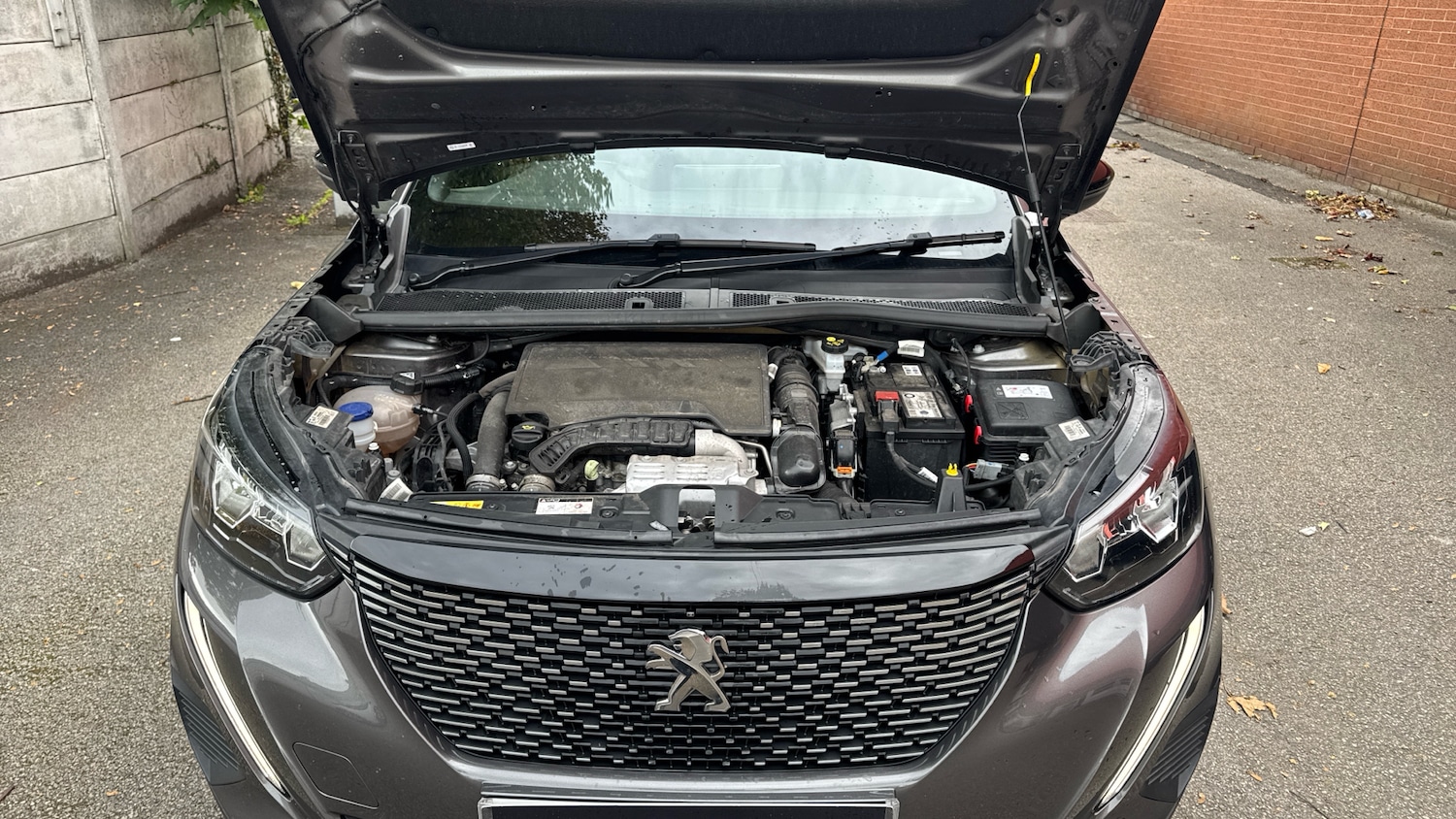 Used Peugeot 2008 2023 for sale - 76154039: Photo 18