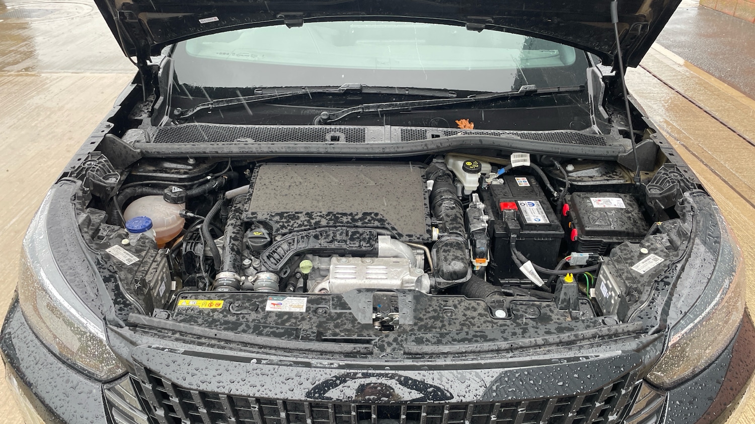 Used Peugeot 2008 2024 for sale - 76359057: Photo 18