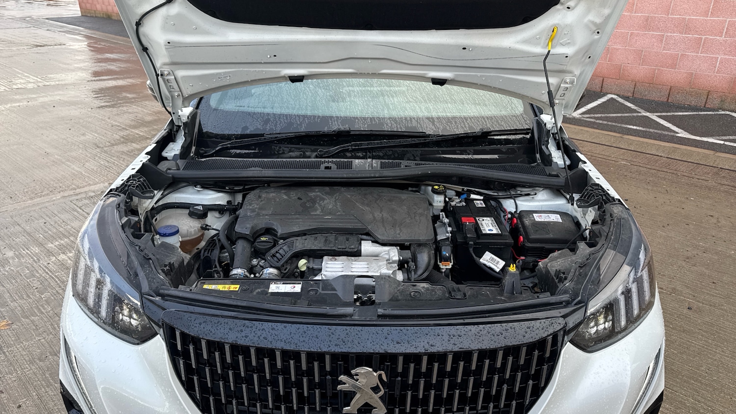 Used Peugeot 2008 2022 for sale - 76667823: Photo 18