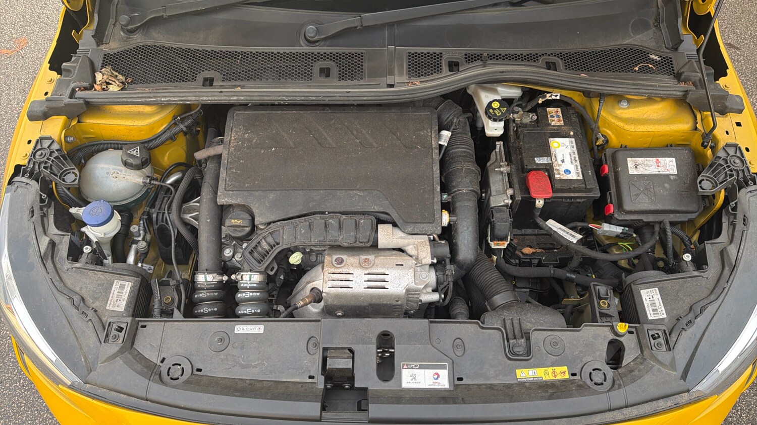 Used Peugeot 208 2020 for sale - 76667842: Photo 19