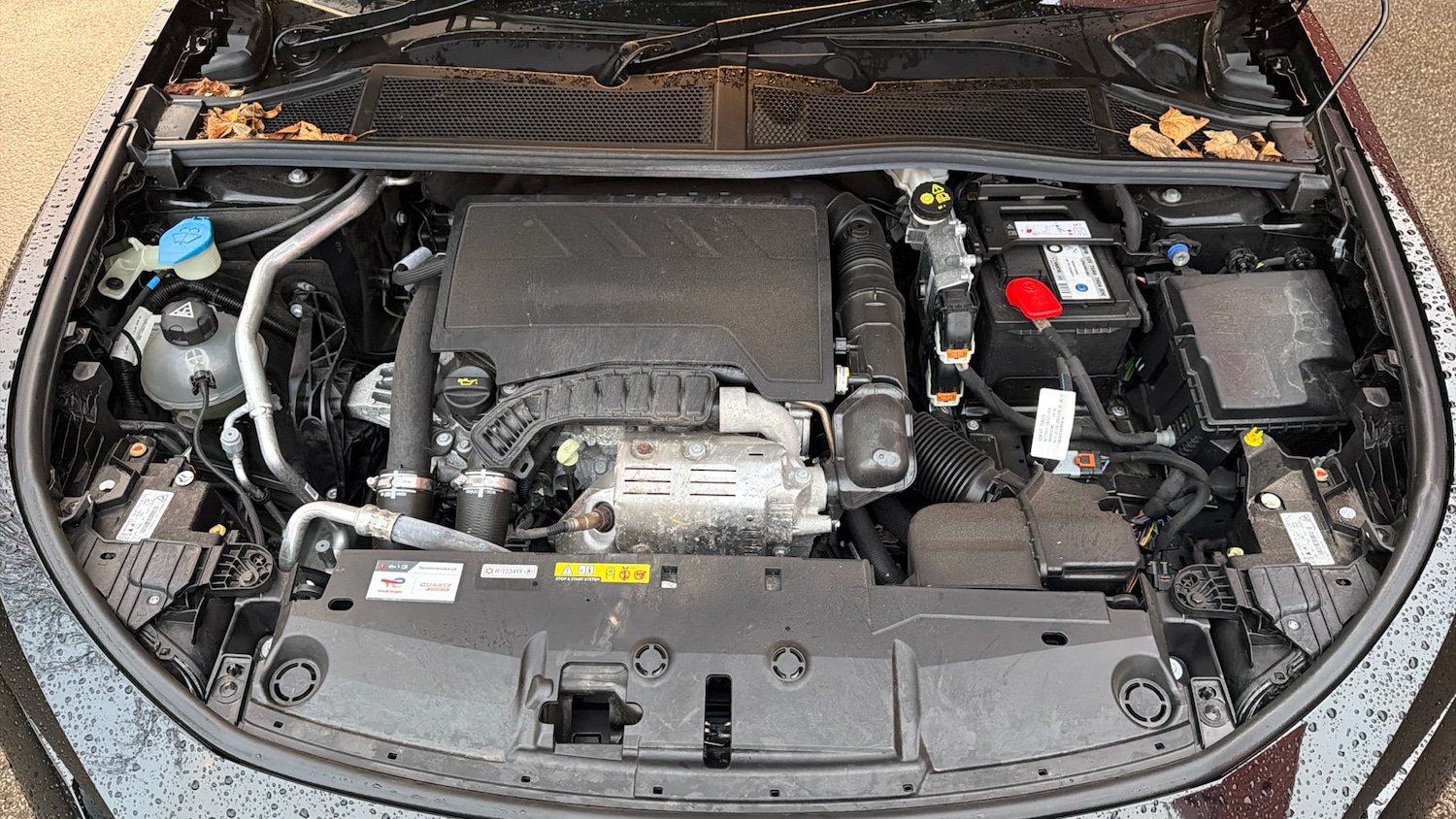 Used Peugeot 408 2024 for sale - 76772568: Photo 18