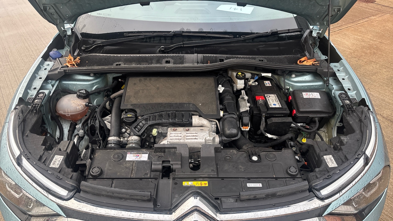 Used Citroen C4 2023 for sale - 76803255: Photo 19