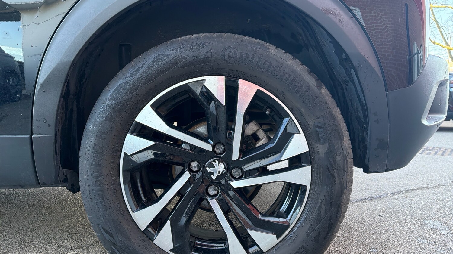 Used Peugeot 2008 2023 for sale - 77840617: Photo 14