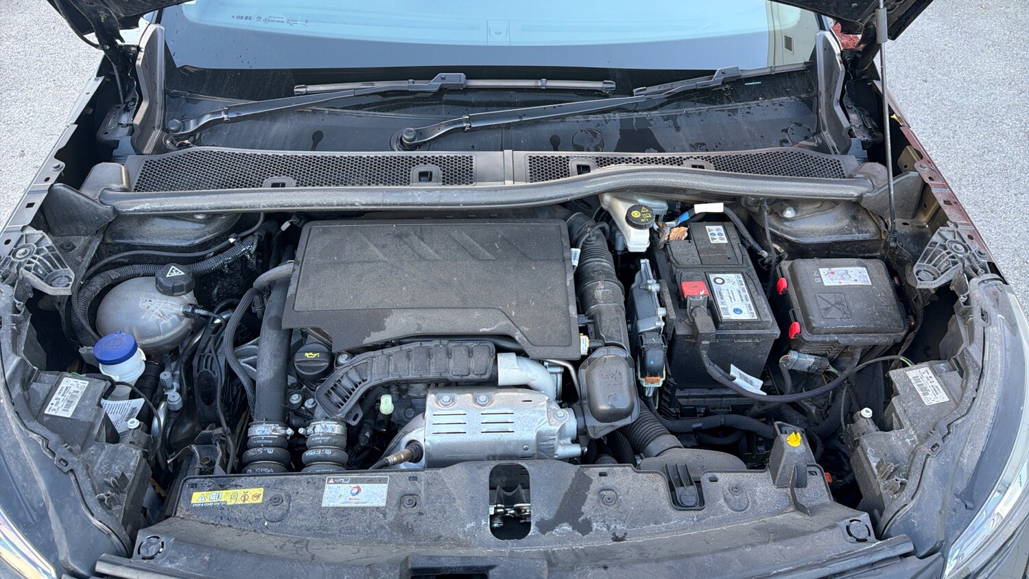 Used Peugeot 2008 2023 for sale - 77840617: Photo 18