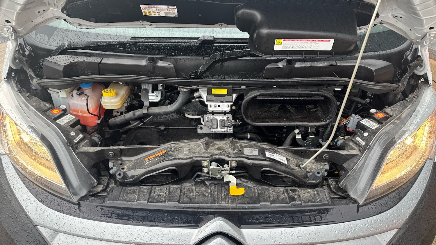 Used Citroen Relay 2024 for sale - 76803251: Photo 18