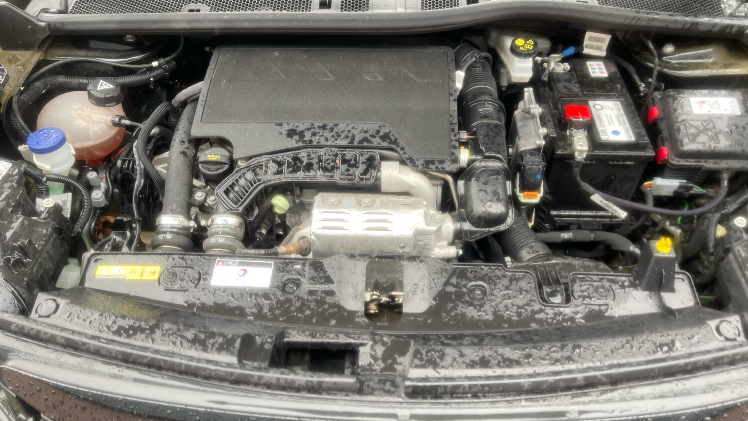 Used Peugeot 2008 2023 for sale - 76099791: Photo 18