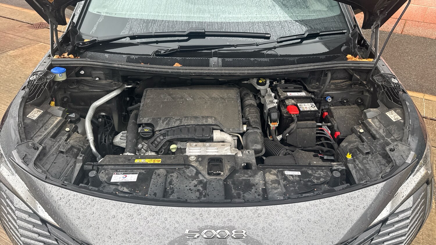 Used Peugeot 5008 2023 for sale - 76803247: Photo 19