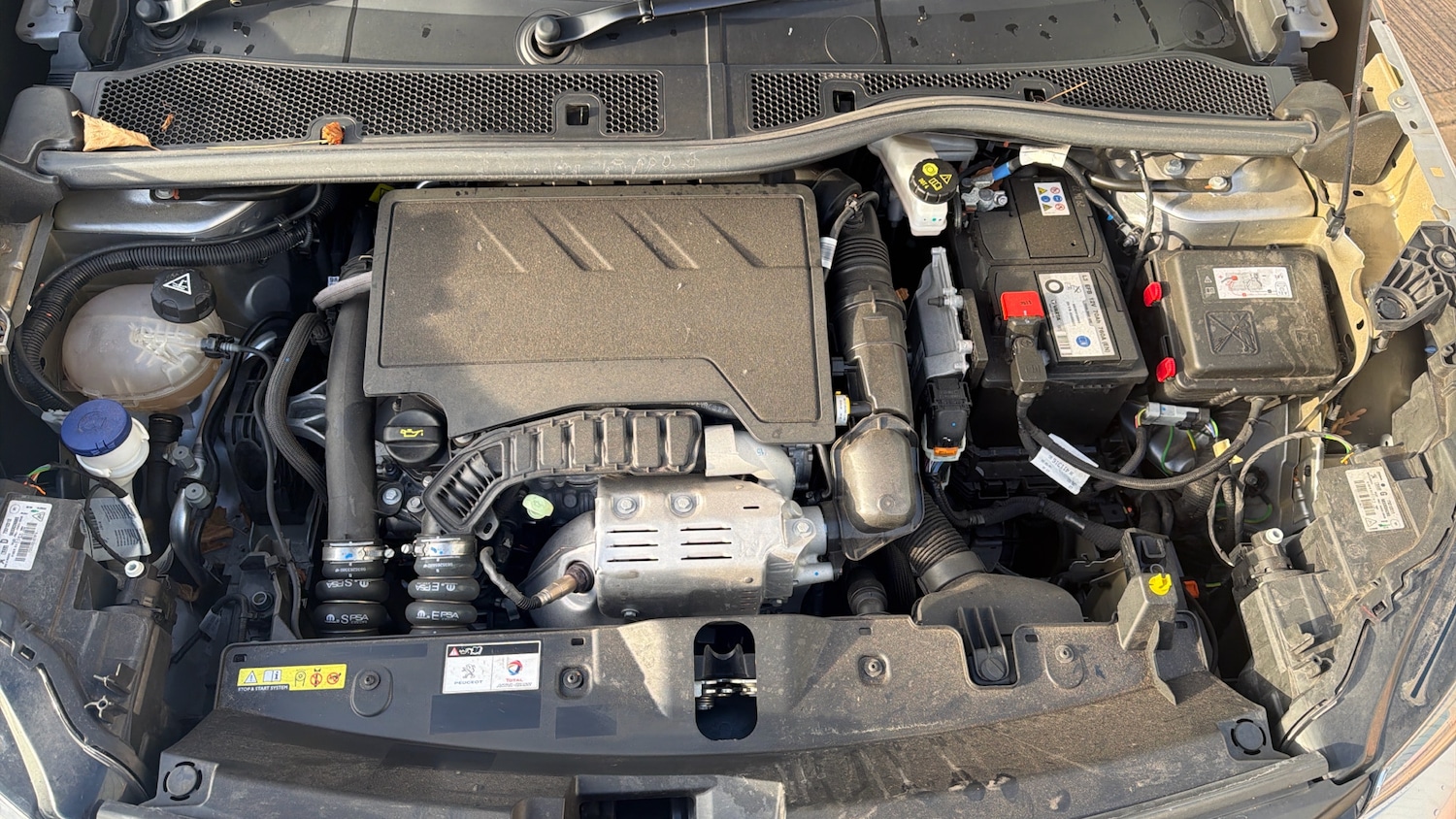 Used Peugeot 2008 2022 for sale - 76772545: Photo 19