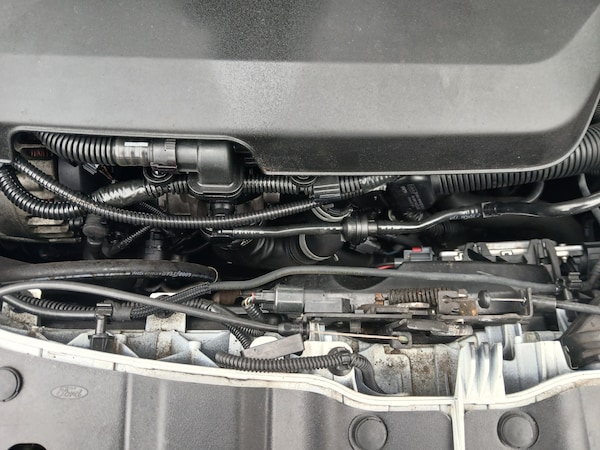 Used Ford Focus 2013 for sale - 74447532: Photo 37