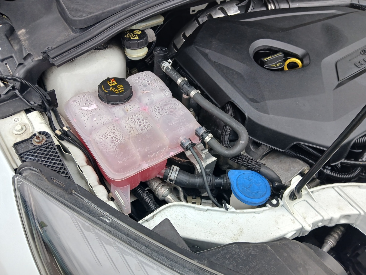 Used Ford Focus 2013 for sale - 77024127: Photo 35