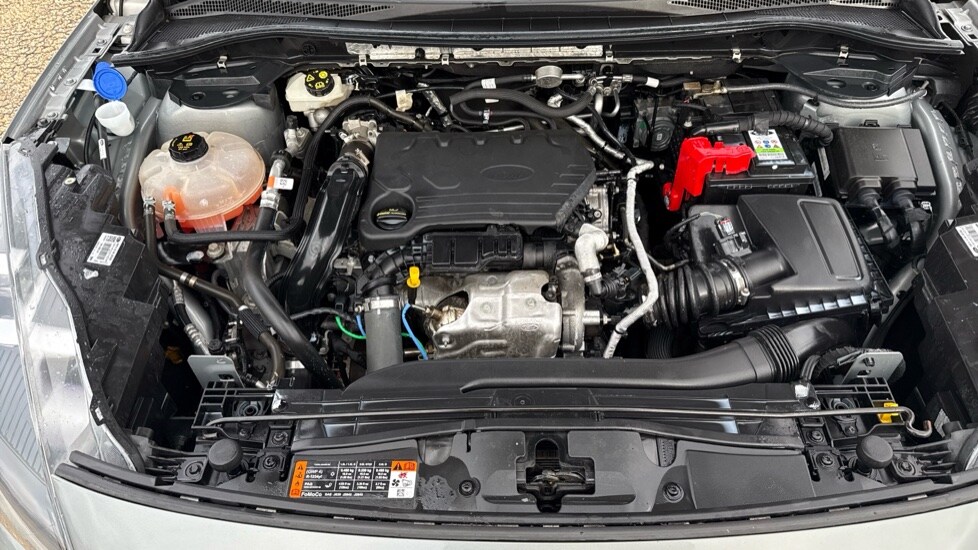 Used Ford Kuga 2020 for sale - 76630229: Photo 16