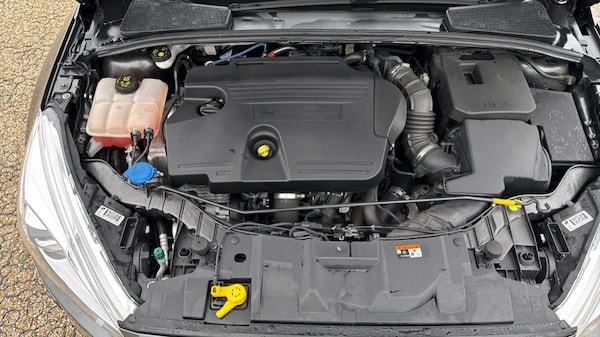 Used Ford Focus 2017 for sale - 76273009: Photo 16