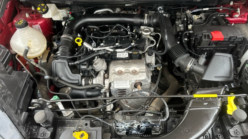 Used Ford Ecosport 2022 for sale - 76872433: Photo 16