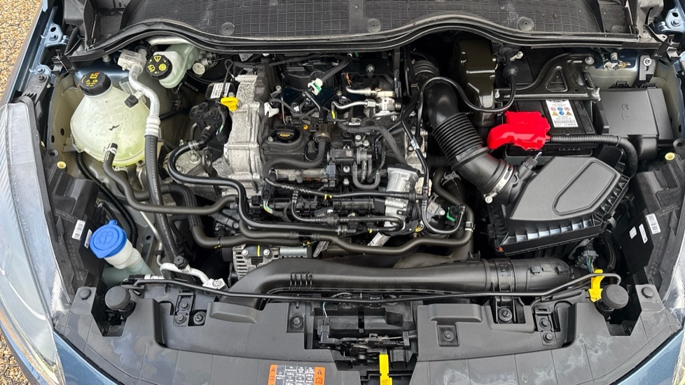 Used Ford Fiesta 2023 for sale - 76873615: Photo 16