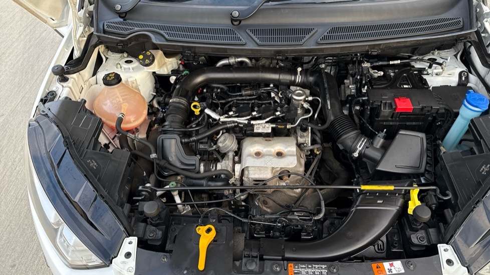 Used Ford Ecosport 2020 for sale - 77010425: Photo 16