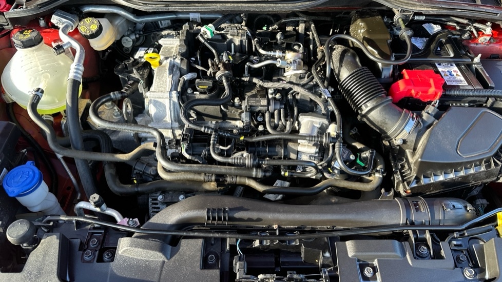 Used Ford Fiesta 2022 for sale - 76881886: Photo 16