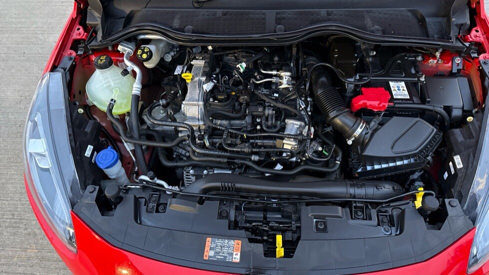 Used Ford Fiesta 2023 for sale - 77025497: Photo 16