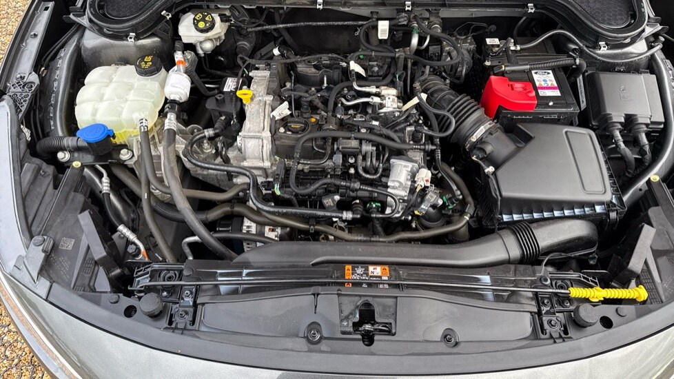 Used Ford Focus 2023 for sale - 76234046: Photo 16