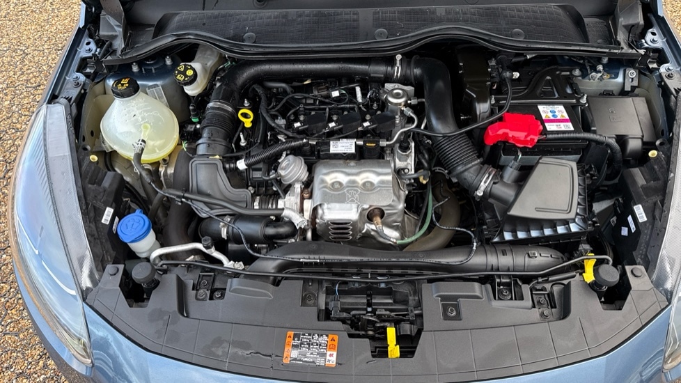 Used Ford Fiesta 2023 for sale - 76372916: Photo 16