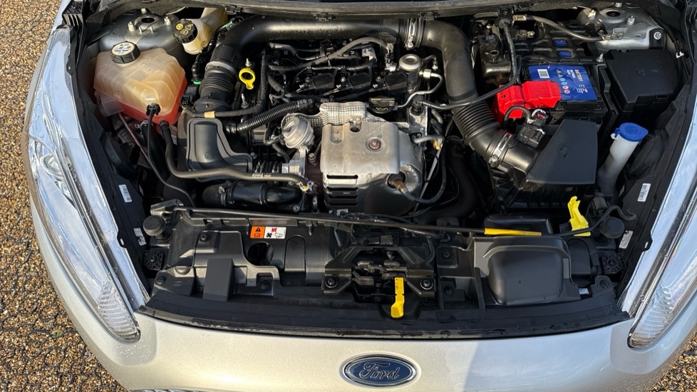 Used Ford Fiesta 2015 for sale - 76501591: Photo 16