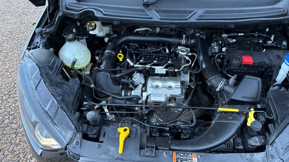 Used Ford Ecosport 2022 for sale - 76575204: Photo 16