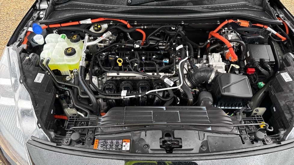Used Ford Kuga 2023 for sale - 76155018: Photo 16
