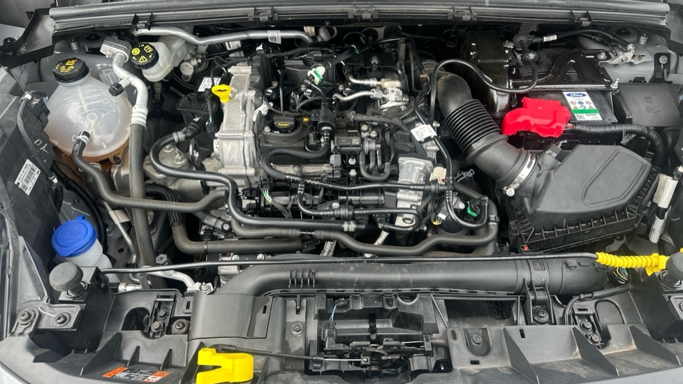 Used Ford Puma 2023 for sale - 76684300: Photo 16