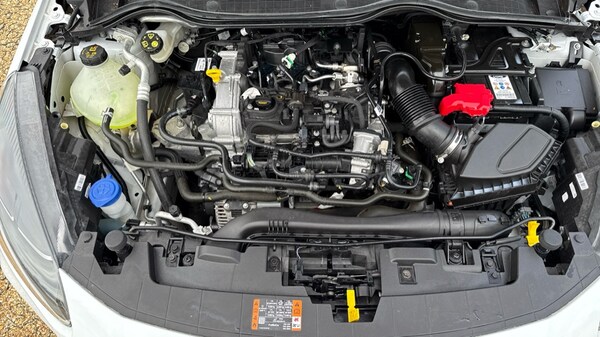 Used Ford Fiesta 2023 for sale - 76007788: Photo 16