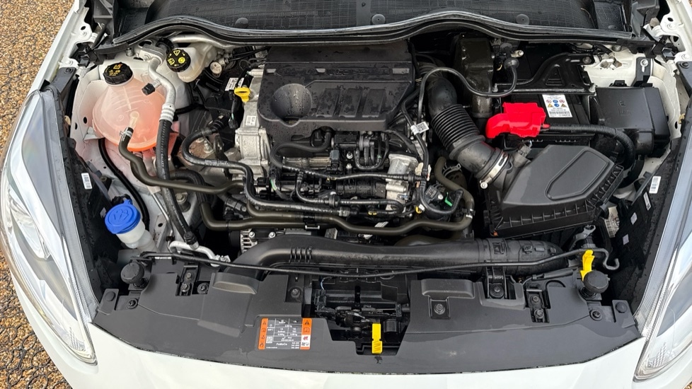 Used Ford Fiesta 2021 for sale - 76872429: Photo 16