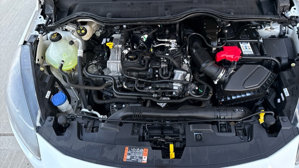 Used Ford Fiesta 2023 for sale - 77031482: Photo 16