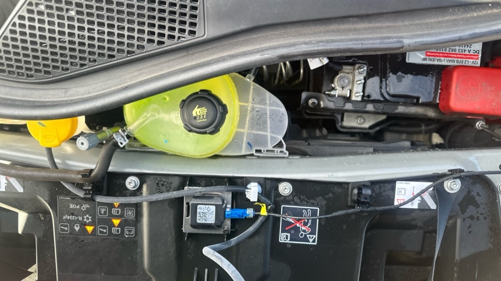 Used smart forfour 2022 for sale - 76873945: Photo 16