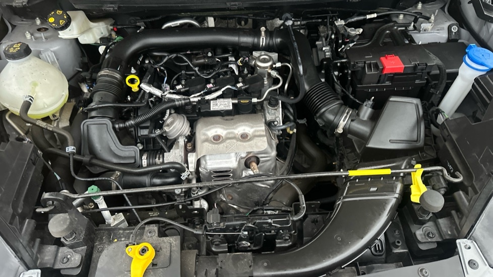 Used Ford Ecosport 2022 for sale - 76873703: Photo 16