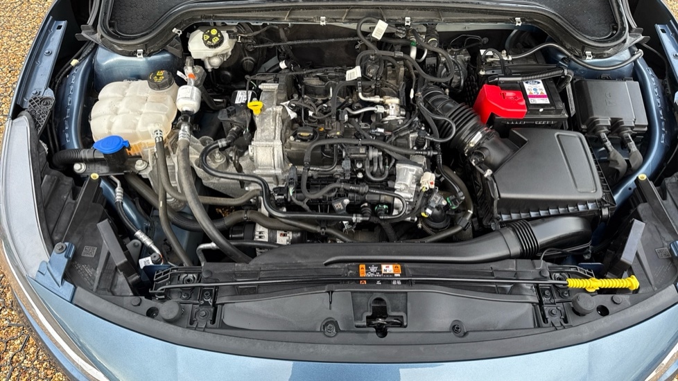 Used Ford Focus 2023 for sale - 76533927: Photo 16