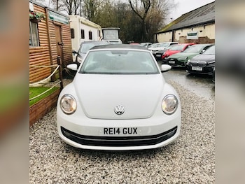 Used Volkswagen Beetle 2014 for sale - 77520797: Photo