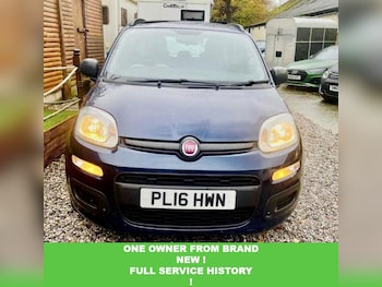 Used Fiat Panda 2016 for sale - 76970034: Photo