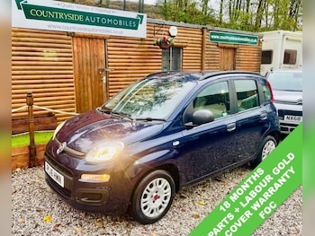 Used Fiat Panda 2016 for sale - 76970034: Photo