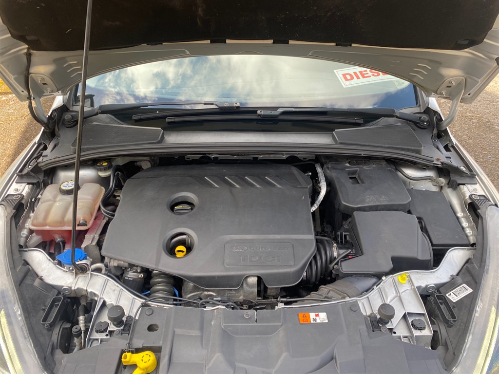 Used Ford Focus 2015 for sale - 78067276: Photo 11